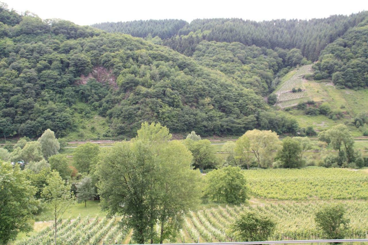 Villa Weingut Sauer-Kettermann Enkirch Exterior foto