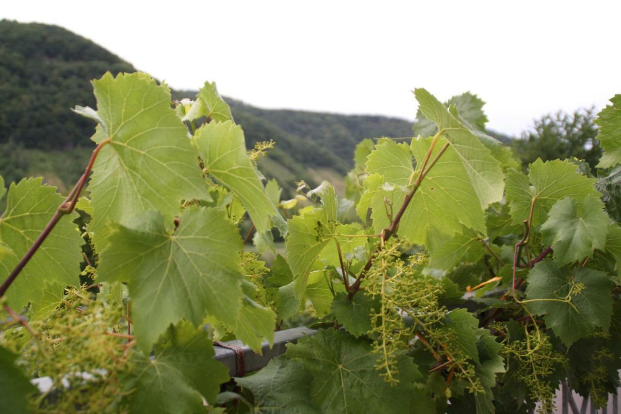 Villa Weingut Sauer-Kettermann Enkirch Exterior foto