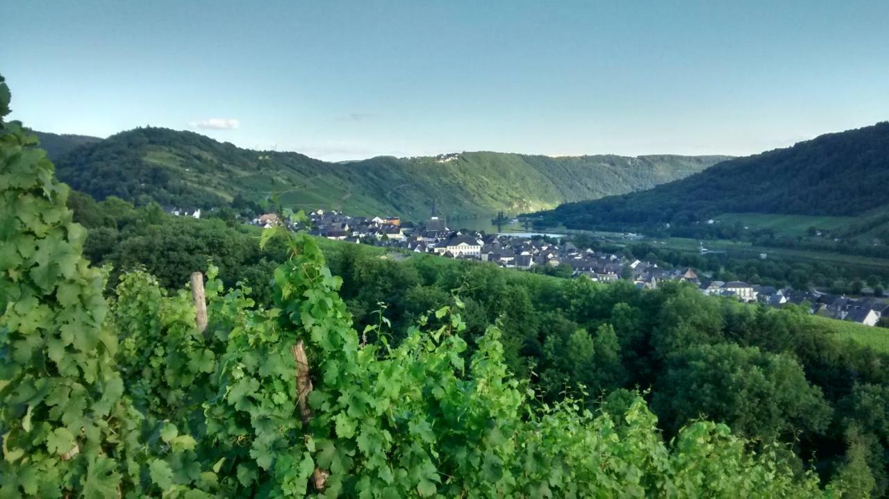 Villa Weingut Sauer-Kettermann Enkirch Exterior foto