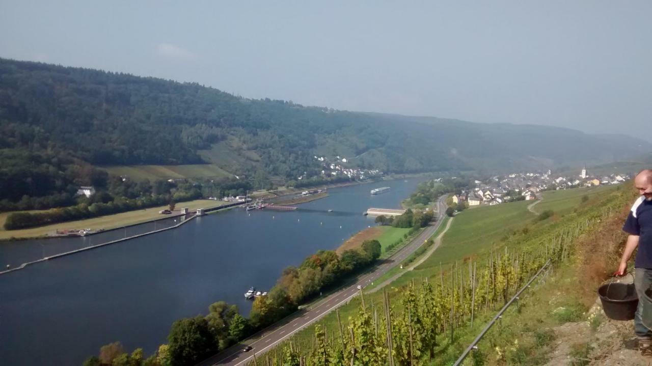 Villa Weingut Sauer-Kettermann Enkirch Exterior foto