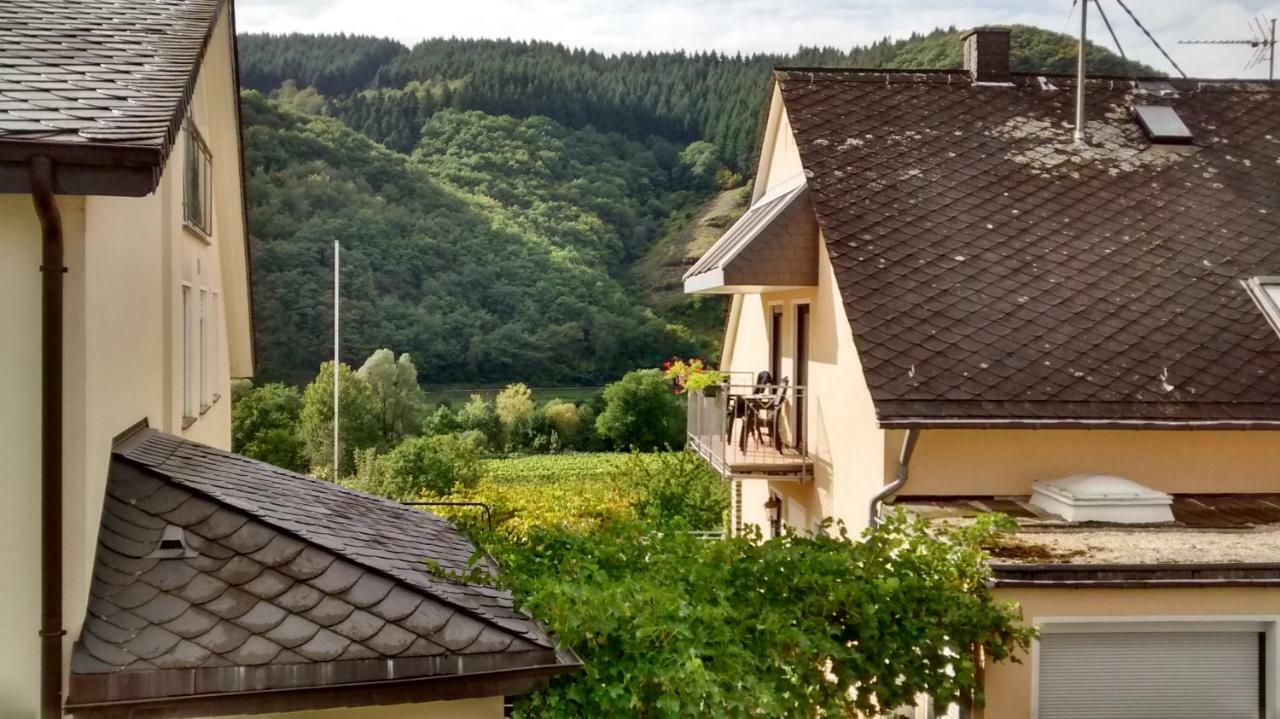 Villa Weingut Sauer-Kettermann Enkirch Exterior foto