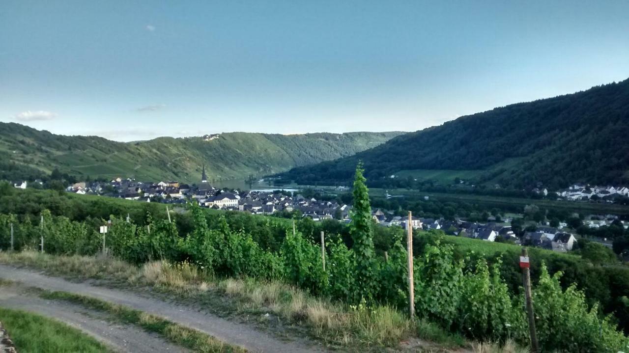 Villa Weingut Sauer-Kettermann Enkirch Exterior foto