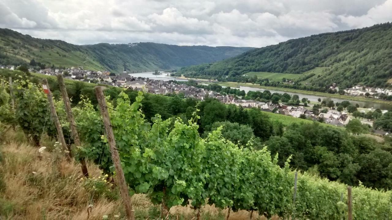 Villa Weingut Sauer-Kettermann Enkirch Exterior foto