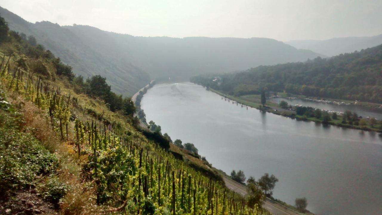 Villa Weingut Sauer-Kettermann Enkirch Exterior foto